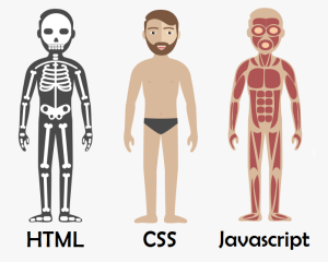 Trio do Amor: HTML, CSS e JavaScript: Como Essas Tecnologias Trabalham Juntas